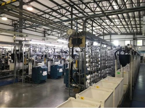 全球布局引領未來 華爾科技成為中國紡織業的世界代言人